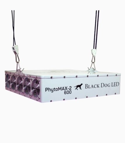 PhytoMAX-2 600 LED - BDPMAX600